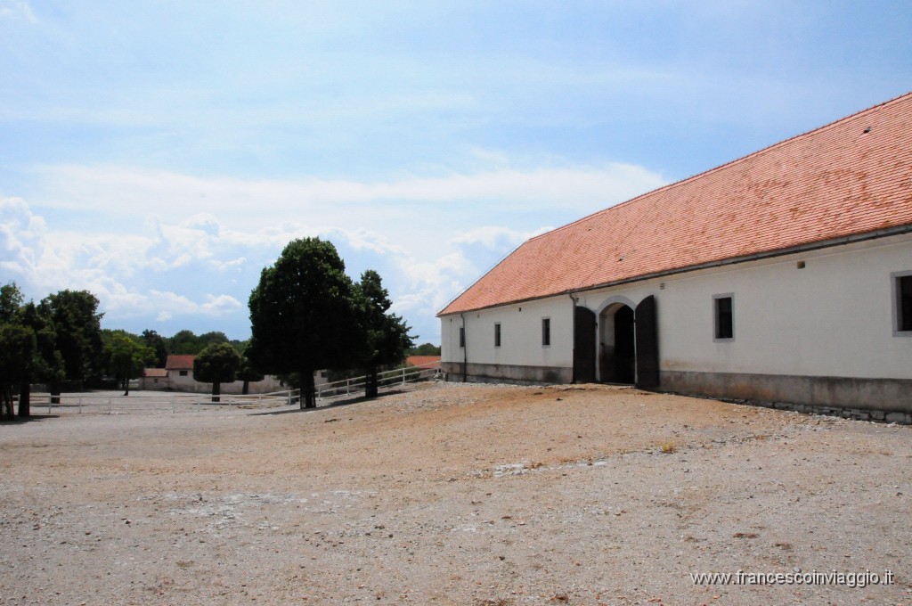 Scuderie di Lipica 2011.07.27_7.JPG